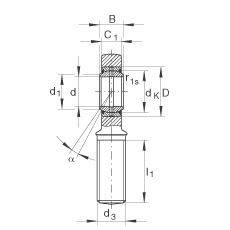 杆端轴承 GAR45-DO-2RS, 根据 DIN ISO 12 240-4 标准，带右旋外螺纹，需维护，两侧唇密封